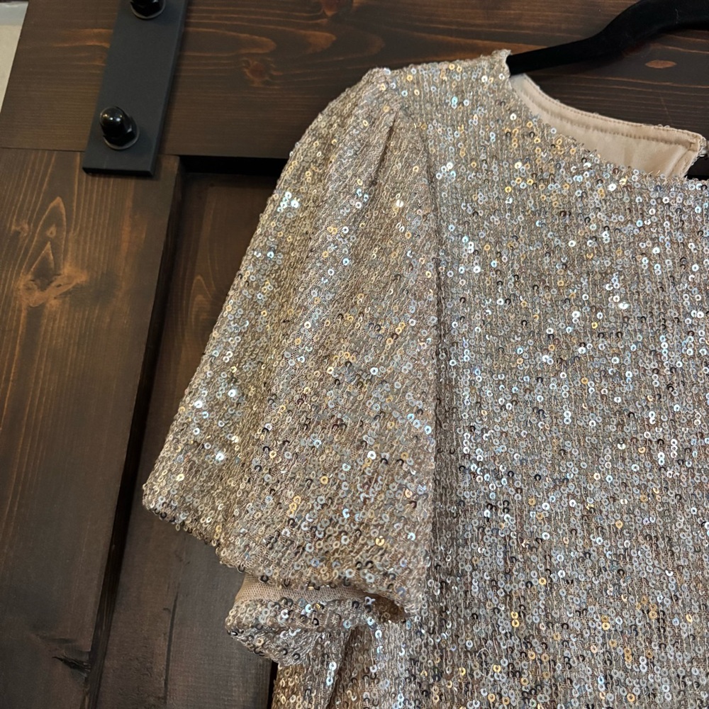Hilary Radley Gold Platinum Sequin Blouse Short Sleeve Large - Picture 3 of 6